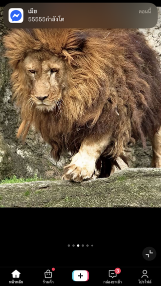 chat looking for friends 