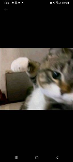 chat looking for friends 