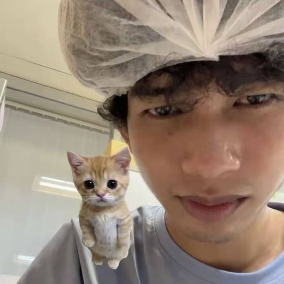 แชท หาเพื่อนคุย 
