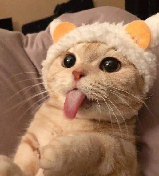 แชท หาเพื่อนคุย ที่อยู่ กรุงเทพมหานคร