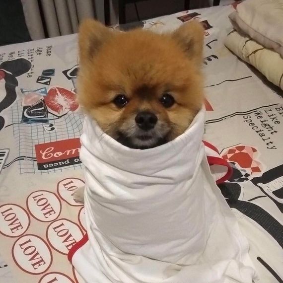 แชท โสด  ที่อยู่ กรุงเทพมหานคร