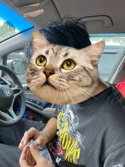 chat looking for friends 