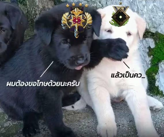 chat chat, find line friends  from Pathum Thani