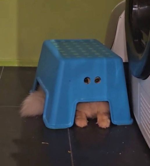 chat looking for friends 