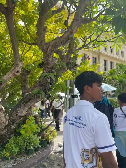 แชท หาเพื่อนคุย 