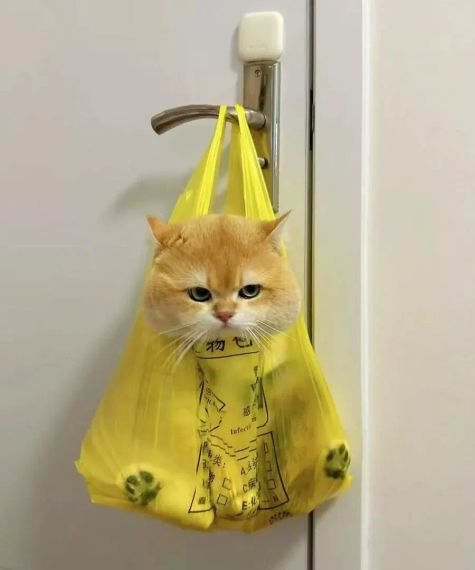 แชท หาเพื่อนคุย, หาเพื่อนเที่ยว 