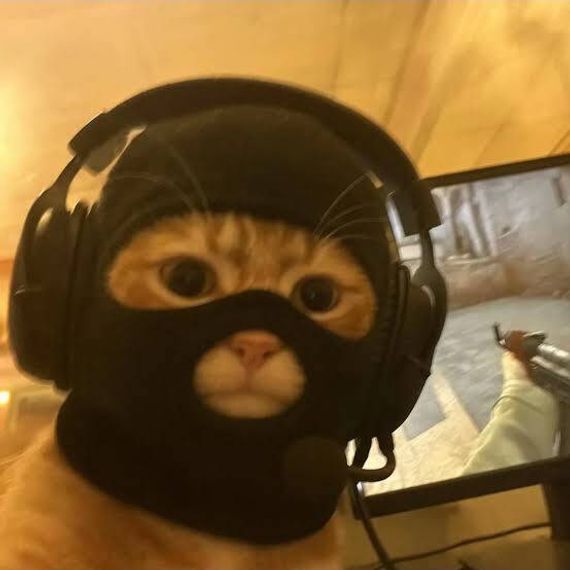 chat looking for friends 