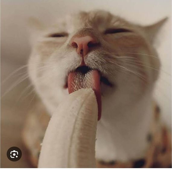 chat looking for friends 