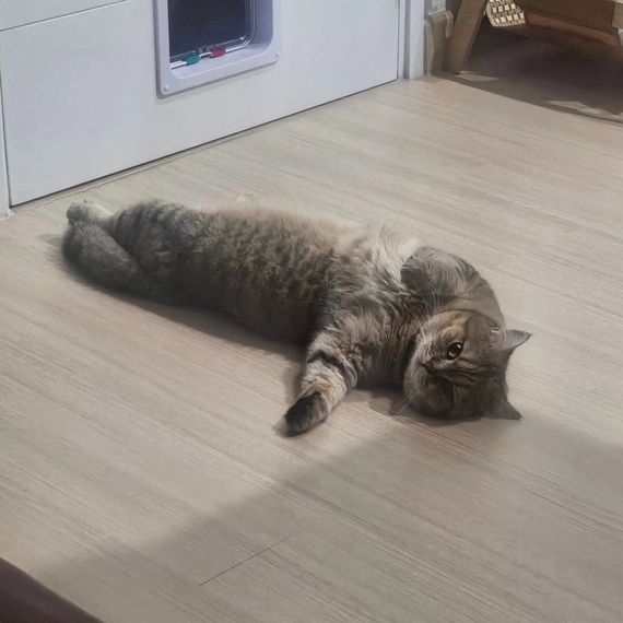 chat looking for friends 