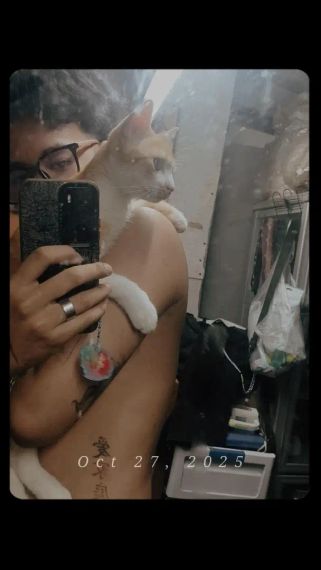 chat single 