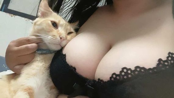 chat chat, single  from Bangkok