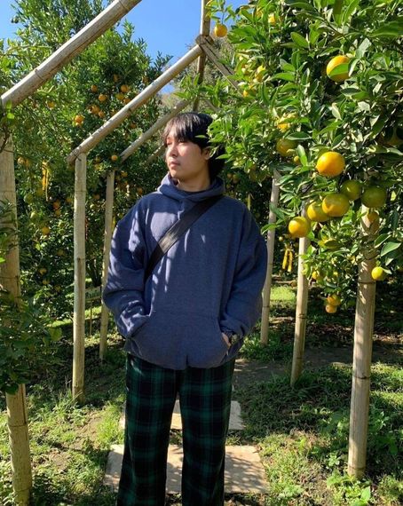 chat looking for friends 