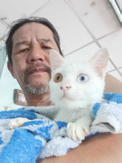 chat looking for friends 