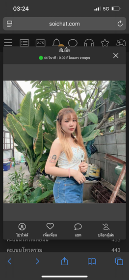 แชท หาเพื่อนคุย 