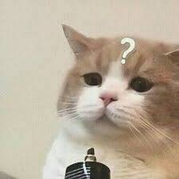 chat looking for friends  from Chiang Mai