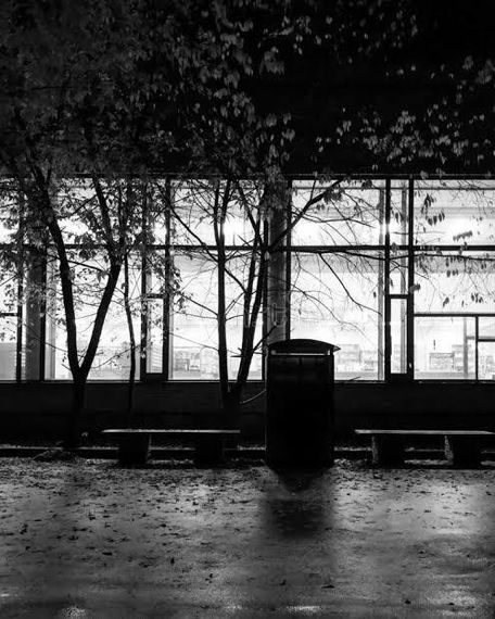 chat looking for friends 