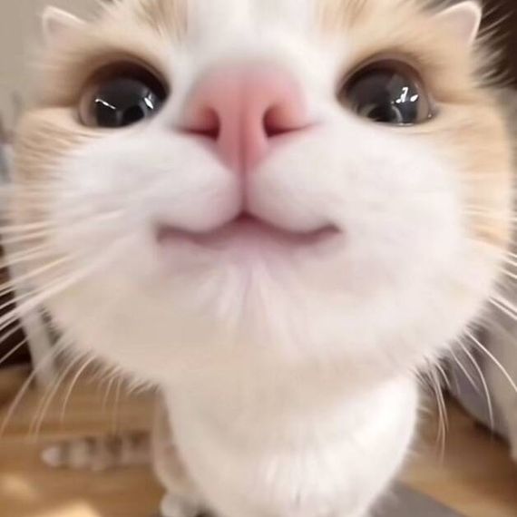 แชท หากิ๊ก  ที่อยู่  สมุทรสาคร