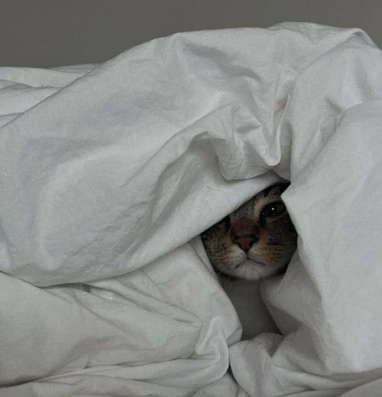 chat looking for friends 