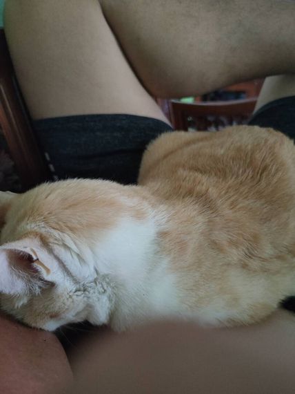 แชท หากิ๊ก, แชทเปิดกล้อง  ที่อยู่  สมุทรปราการ