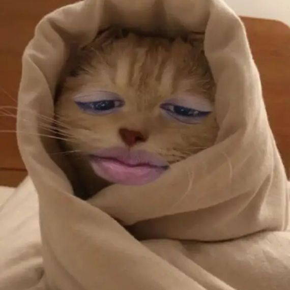 แชท หาเพื่อนคุย  ที่อยู่  สมุทรสาคร