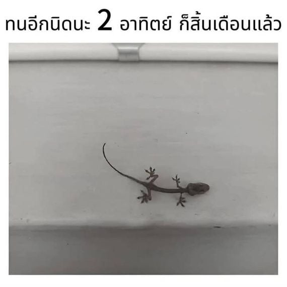 แชท หาเพื่อนคุย ที่อยู่ สมุทรปราการ