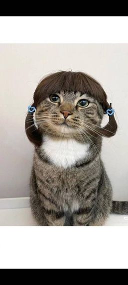 chat looking for friends 