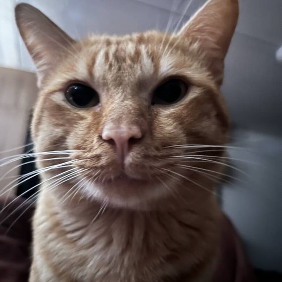 แชท หาเพื่อนคุย  ที่อยู่  นนทบุรี