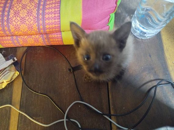 แชท หาเพื่อนคุย