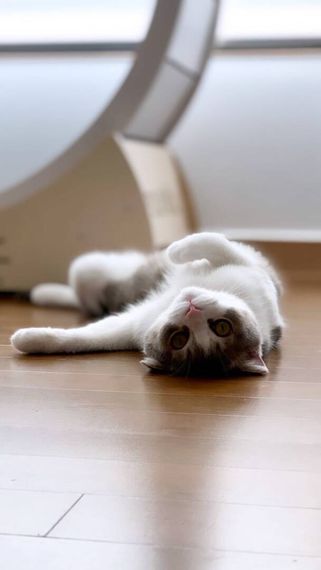 chat looking for friends 