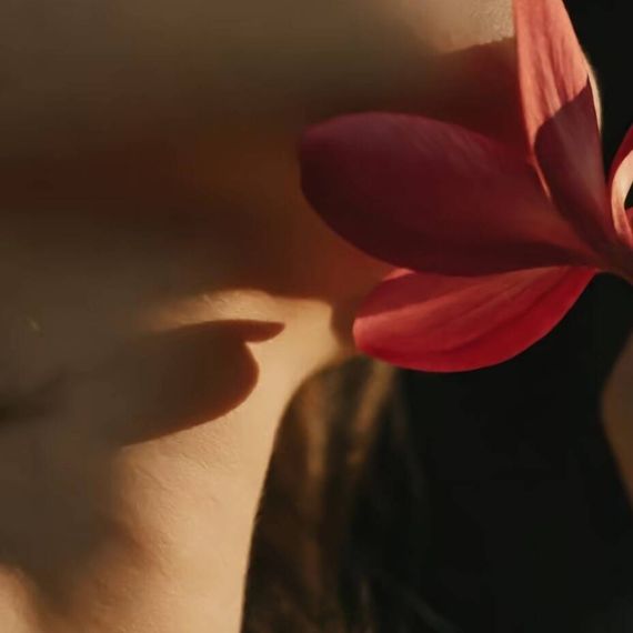 แชท หากิ๊ก ที่อยู่ พระนครศรีอยุธยา