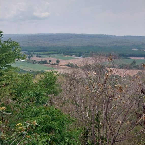 แชท หาแฟน, หาเพื่อนคุย 