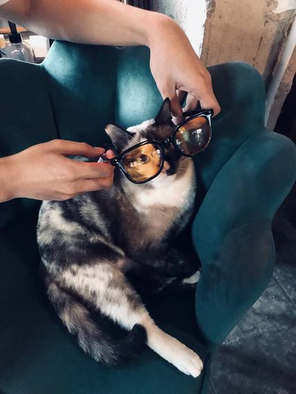 แชท หากิ๊ก  ที่อยู่ กรุงเทพมหานคร