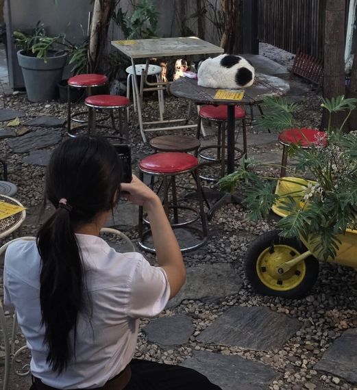 แชท หาเพื่อนคุย 