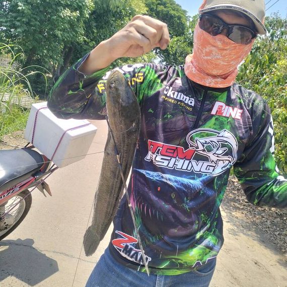 แชท หาแฟน, โสด 