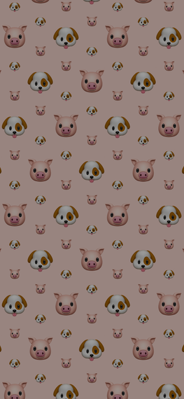 แชท หาเพื่อนคุย, โสด 