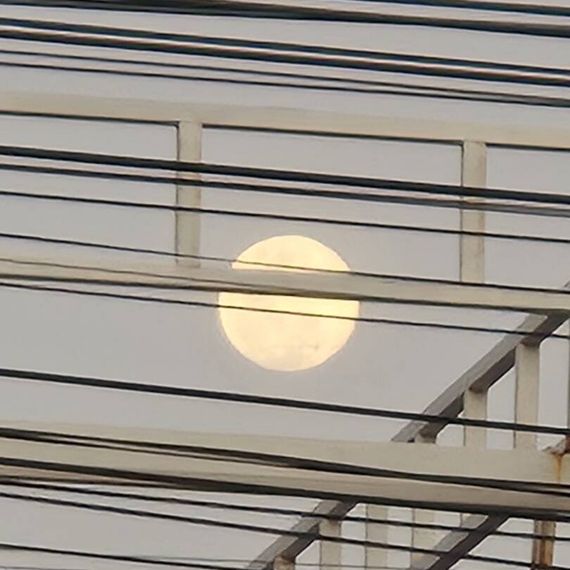 แชท หาเพื่อนคุย, หากิ๊ก 