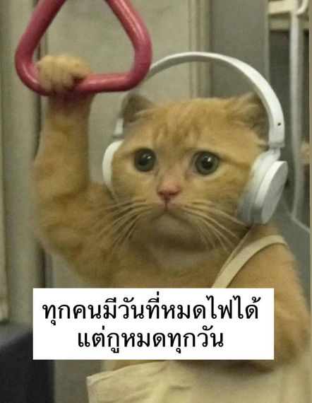 chat looking for friends 