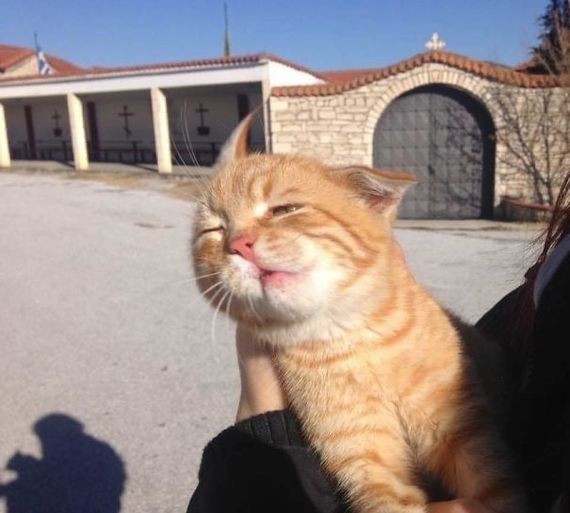chat looking for friends 