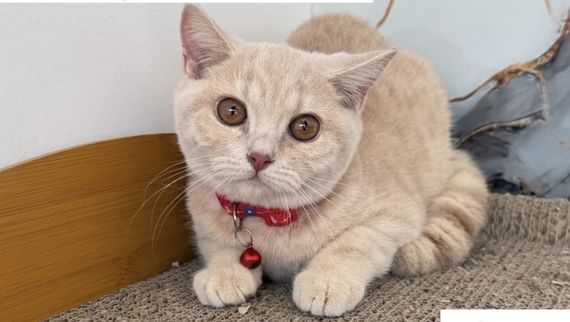 แชท หาเพื่อนคุย, หาเพื่อนเที่ยว 