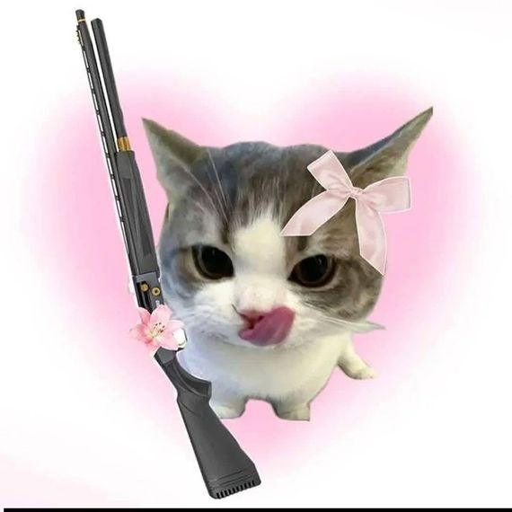 chat find love, chat  from Nakhon Ratchasima