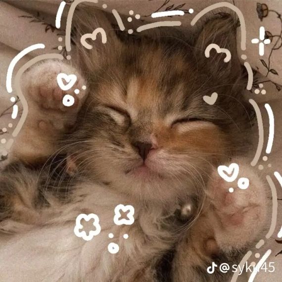 แชท หาแฟน, หาเพื่อนคุย  ที่อยู่  นครราชสีมา