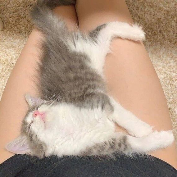 แชท หาแฟน, หาเพื่อนคุย