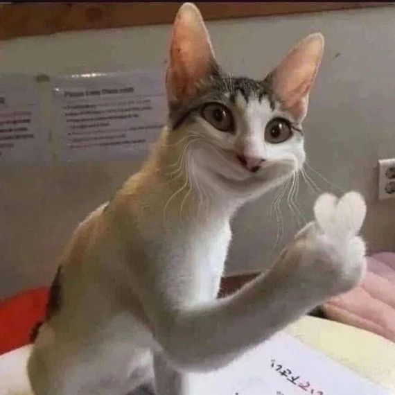 แชท หาเพื่อนคุย ที่อยู่ กรุงเทพมหานคร