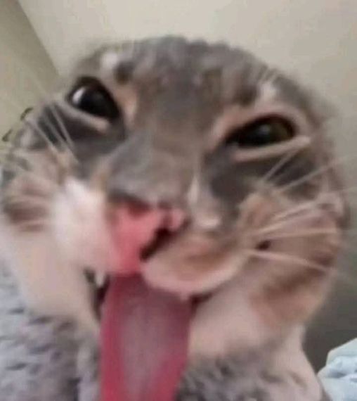 chat looking for friends  from Nakhon Pathom