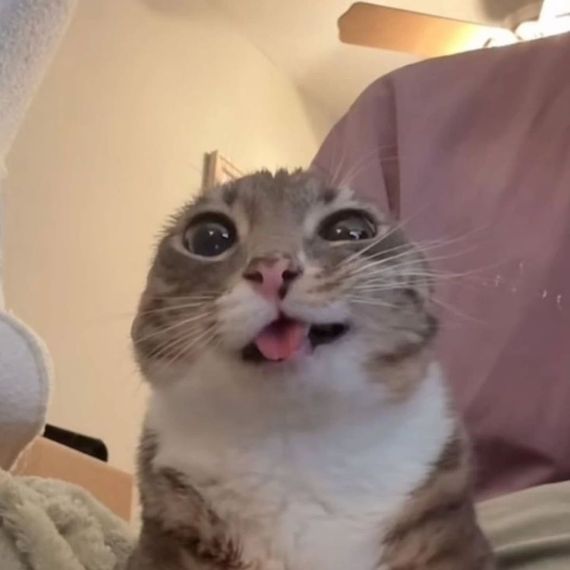 chat looking for friends  from Samut Sakhon