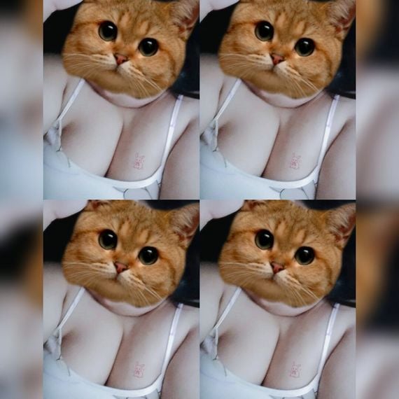 chat looking for friends