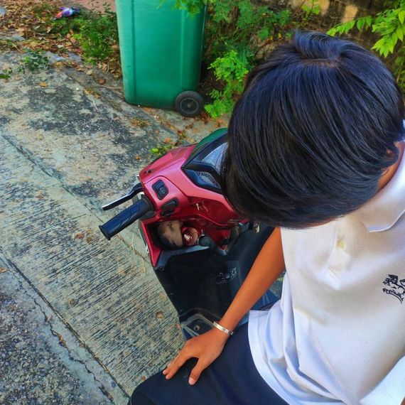 แชท โสด  ที่อยู่  นนทบุรี