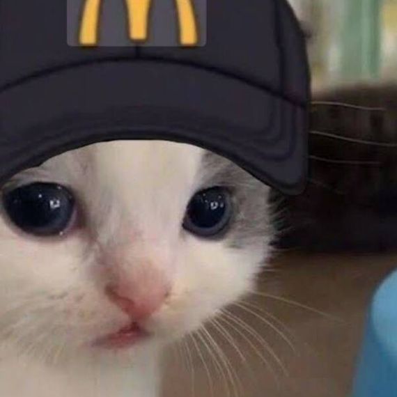 แชท แชทเปิดกล้อง 