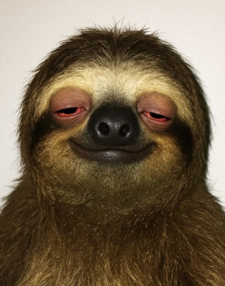 แชท หาแฟน, หาเพื่อนคุย 