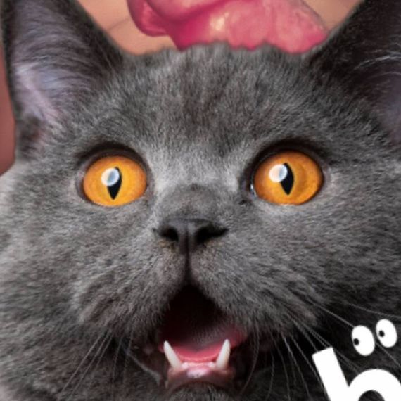 แชท หาแฟน, หาเพื่อนคุย  ที่อยู่  สมุทรปราการ